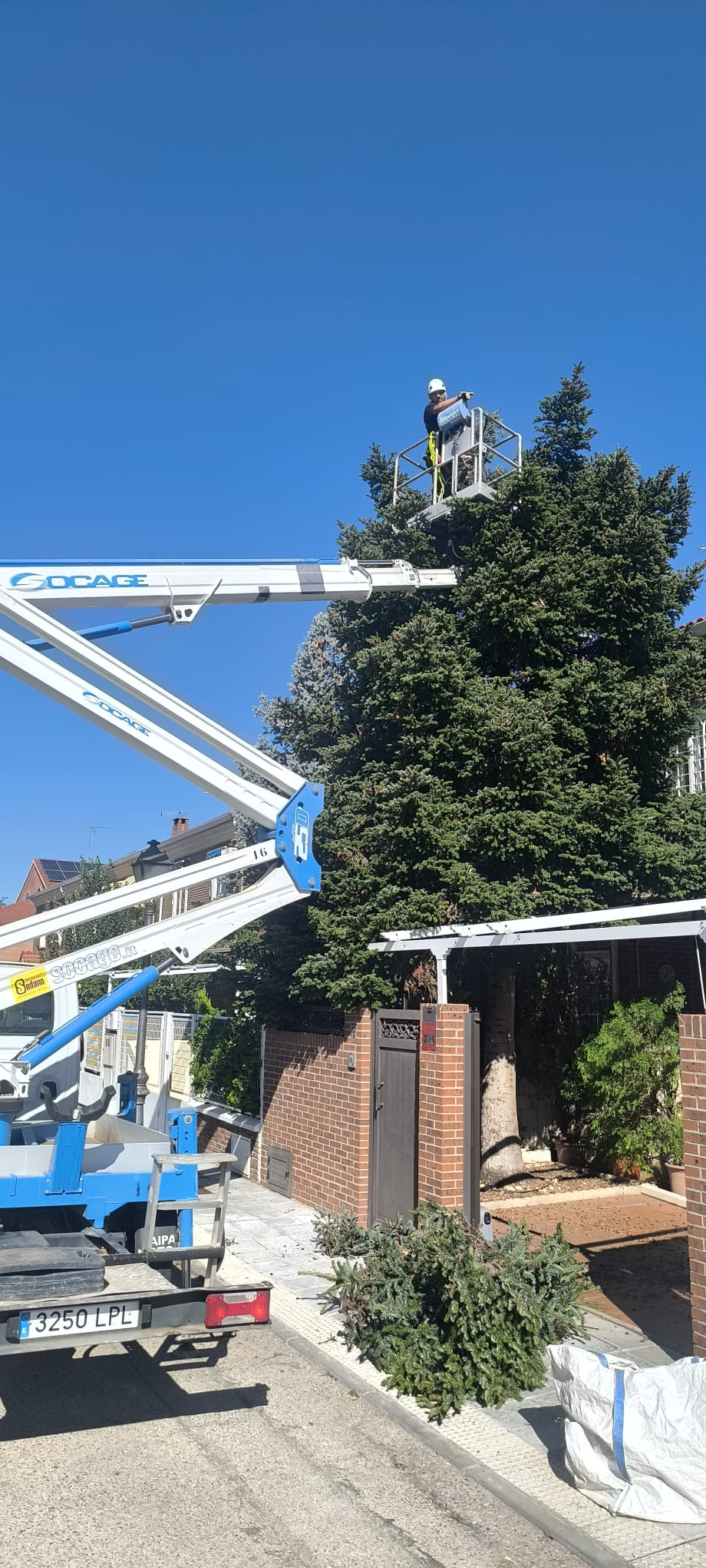 desmontaje de árbol por secciones con plataforma elevadora en Azuqueca de Henares