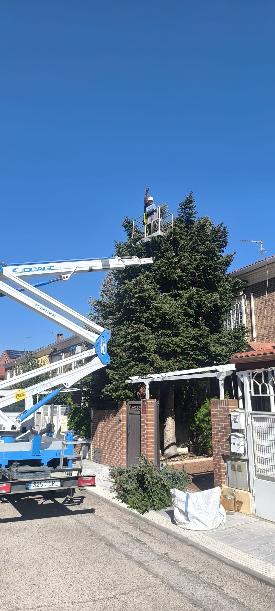 Trabajo de poda en altura para poda de árboles