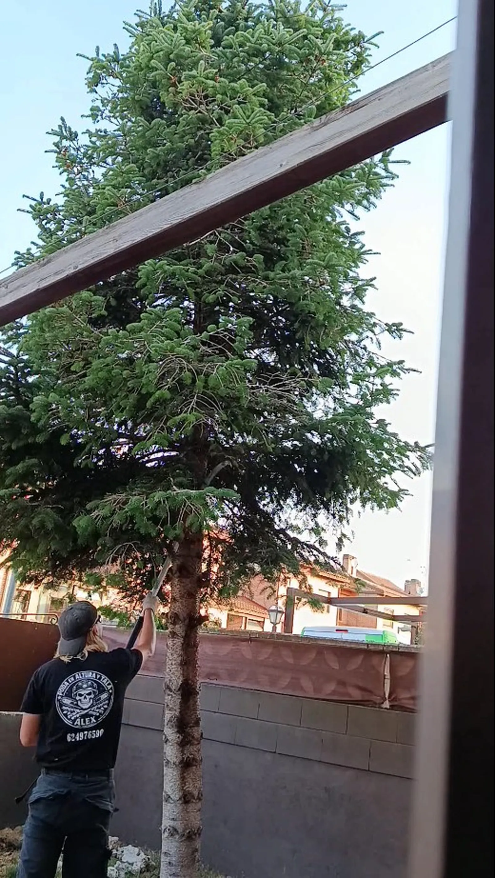 Pértiga de poda utilizada para cortar ramas altas