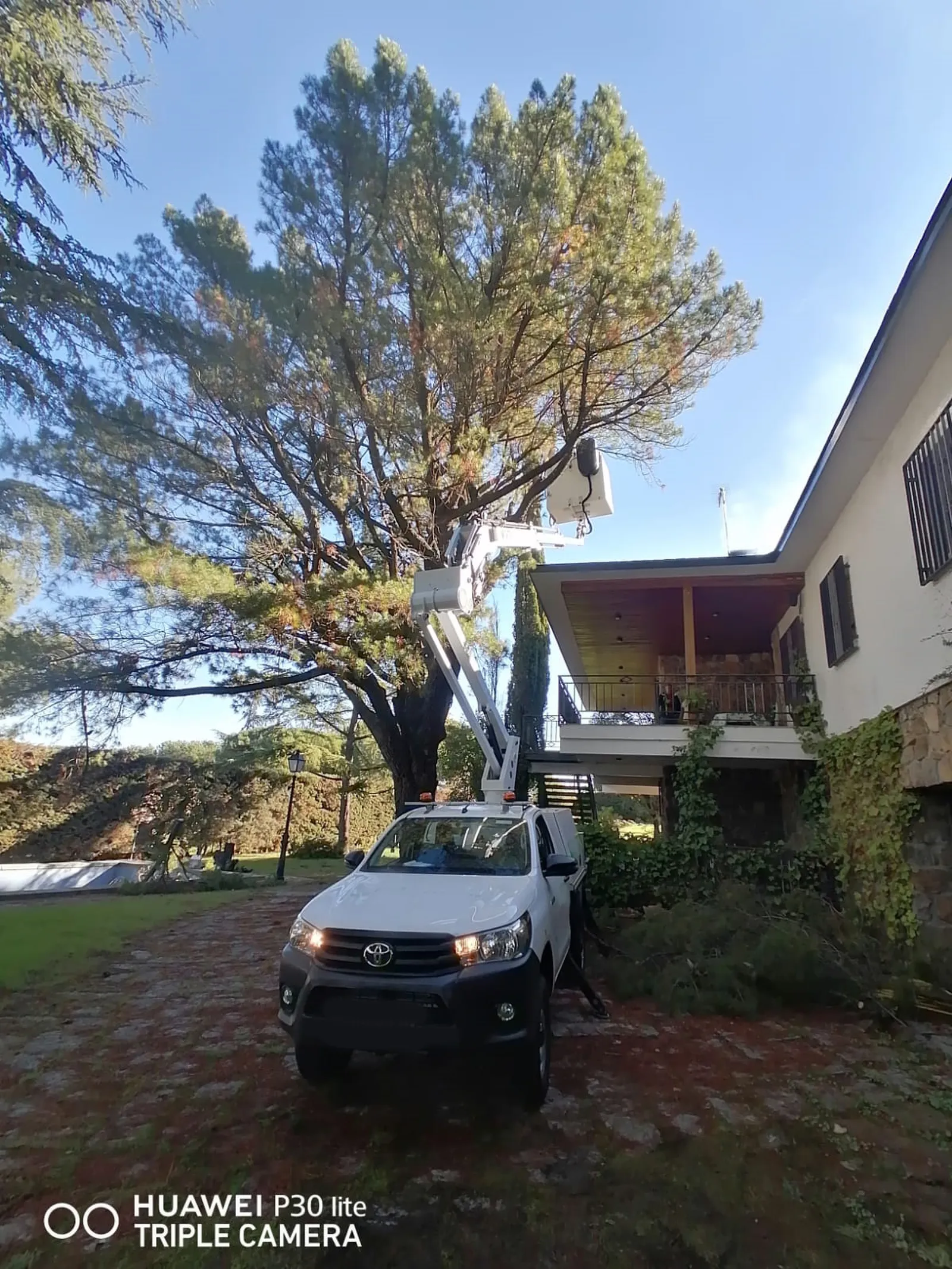 plataforma elevadora para poda de árboles
