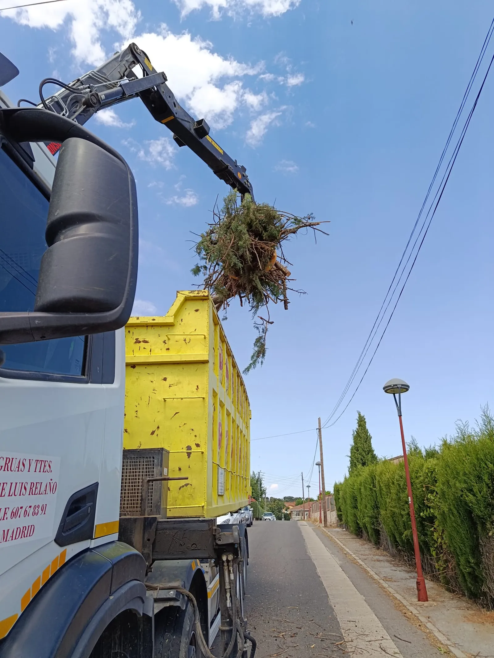 servicio de retirada de restos vegetales de jardinería en guadalajara