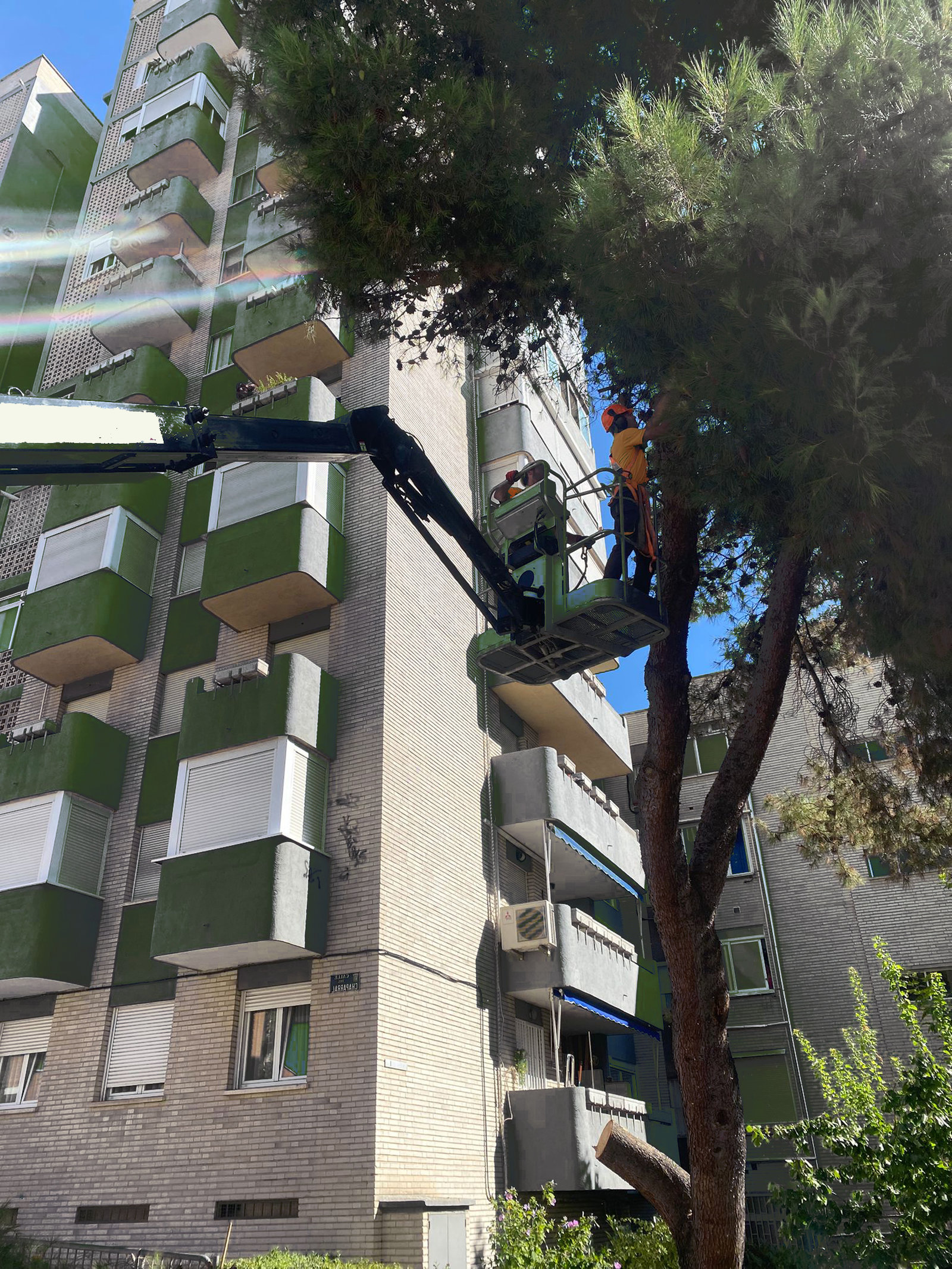 Plataforma elevadora utilizada para el desmontaje de un árbol en Guadalajara